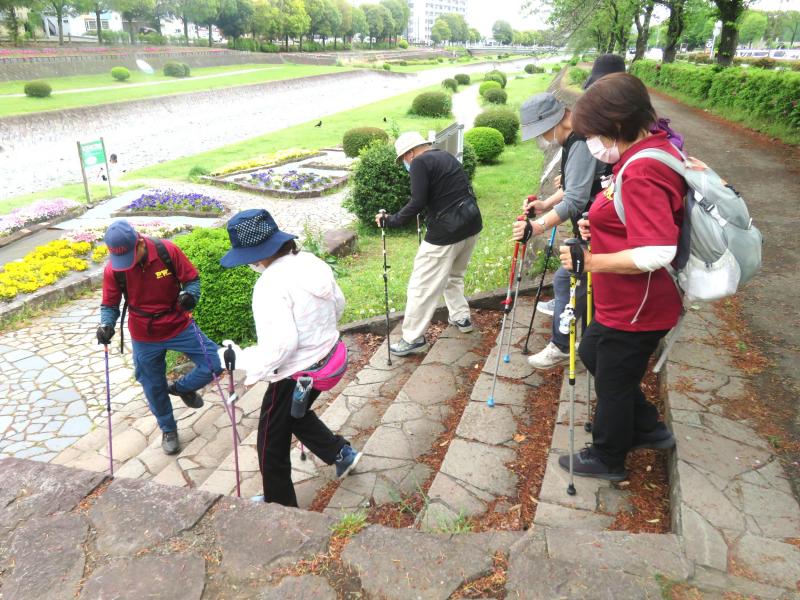こがめさんは階段を降ります