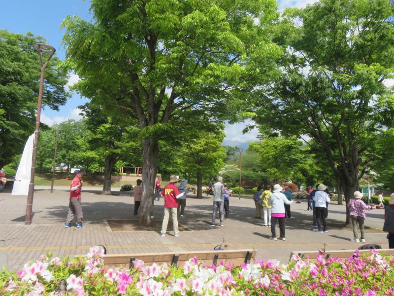 つつじが咲き始めました