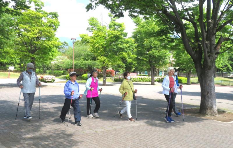 日差しが強くなりました