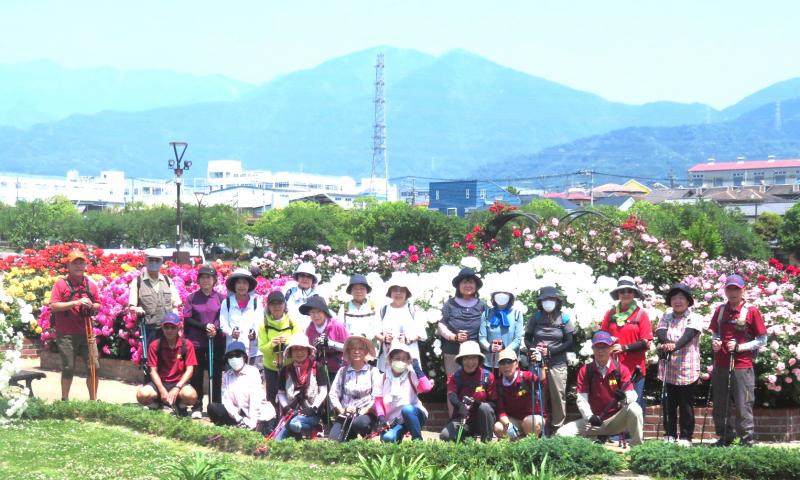 満開のバラ園で