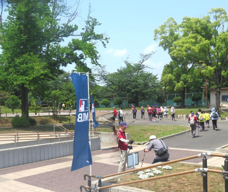 MLBの幟（元大リーガーが来る？）