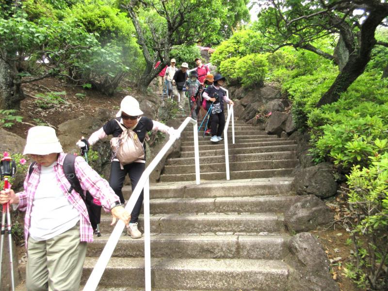 階段の上り下りが多い