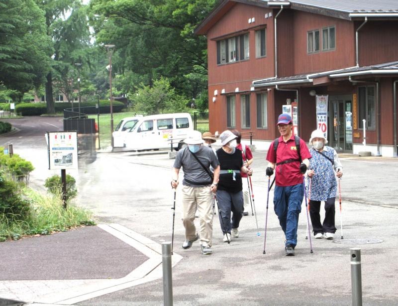 こがめさんグループです