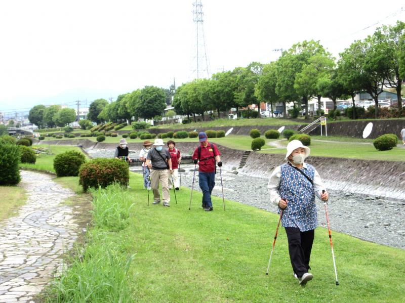 緑の緑道を歩きやすい