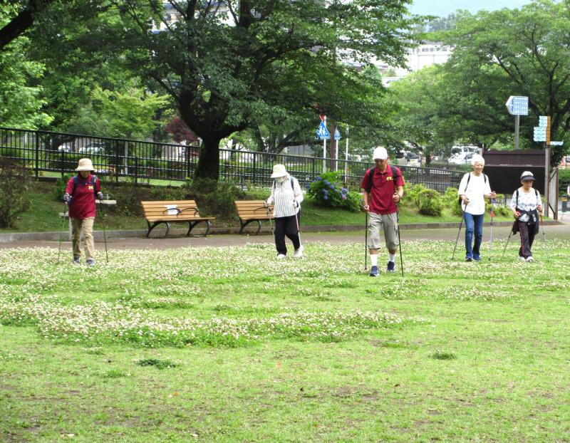 蓮華が咲くピクニック広場