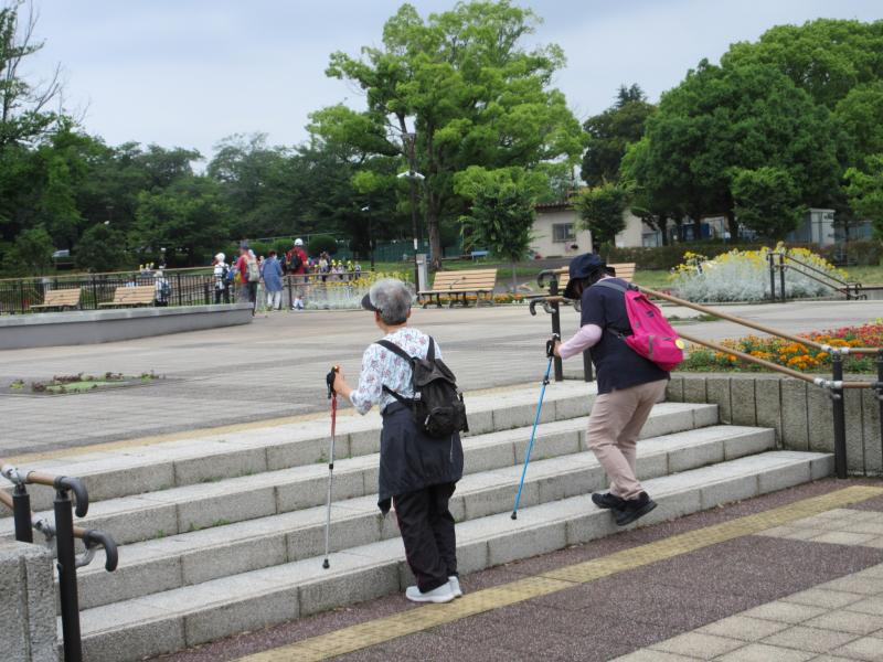 ステップエクササイズ