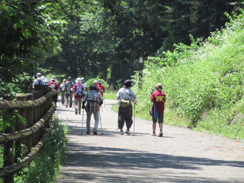 公園には木陰が多い