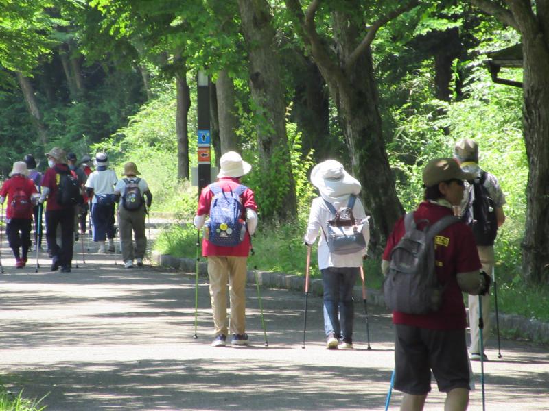 木陰のある道を歩きます