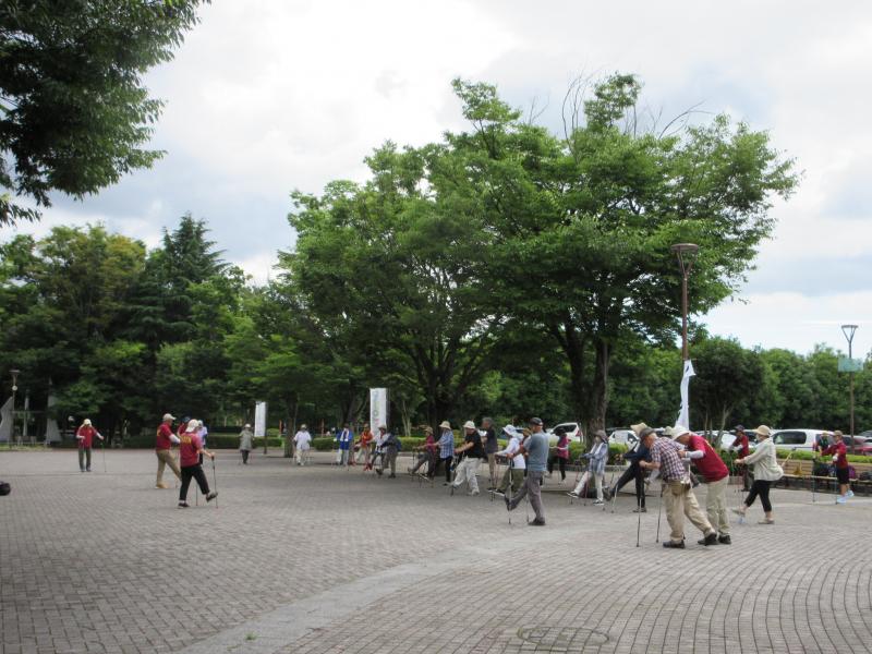 準備運動も木の下で