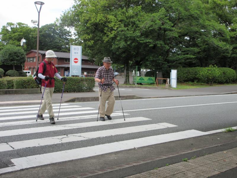 横断歩道の白線は45㎝