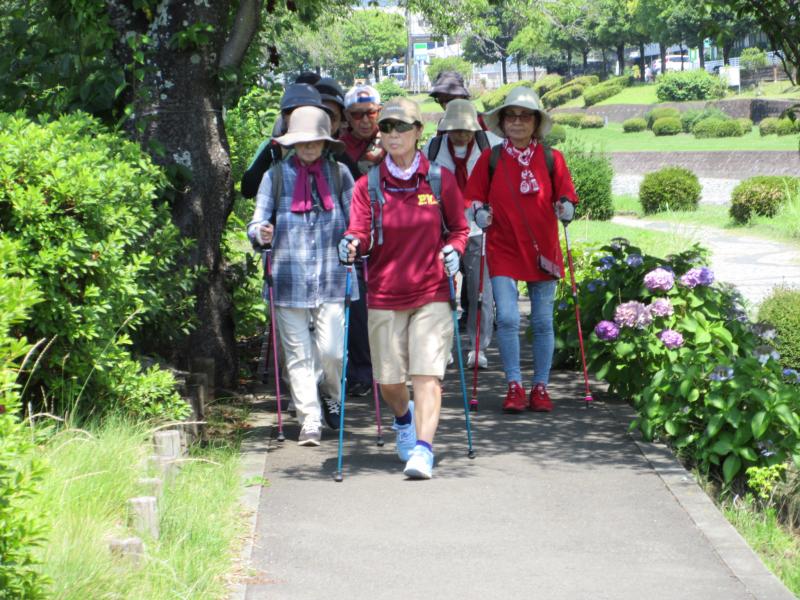 木陰ですので助かります