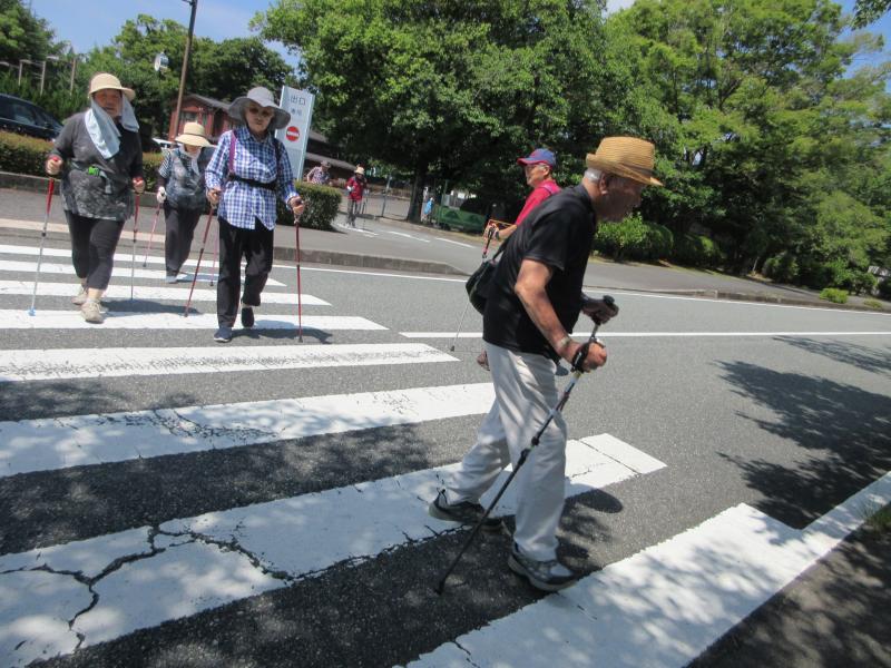 歩道の白線は45㎝