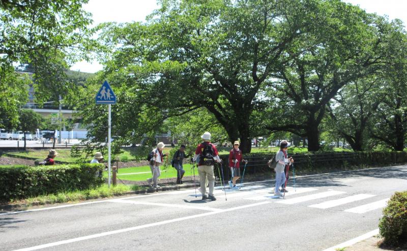 横断歩道はコーチが確認します