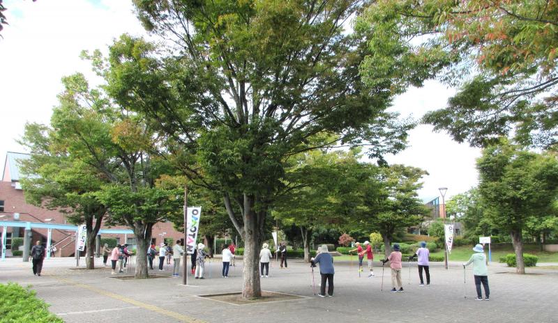 木陰を使って準備運動