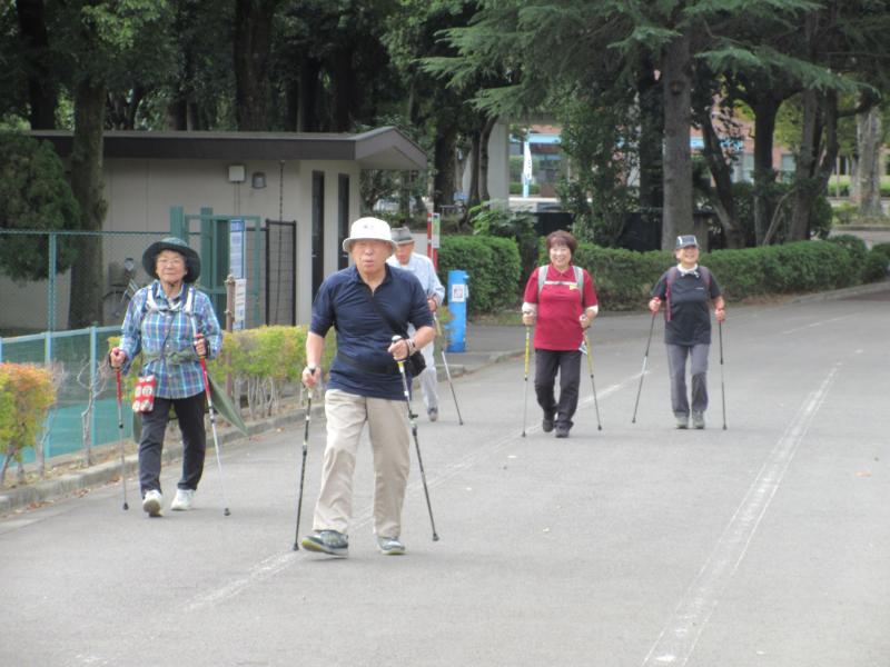こがめさんは？