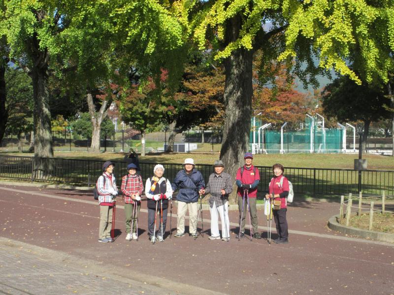 こがめさんはイチョウの下