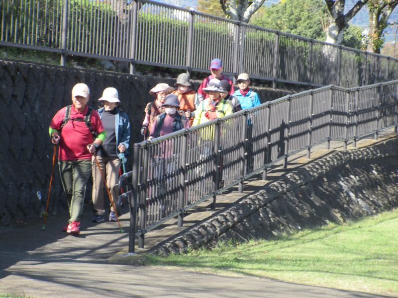 ウサギさんは緑道に下ります