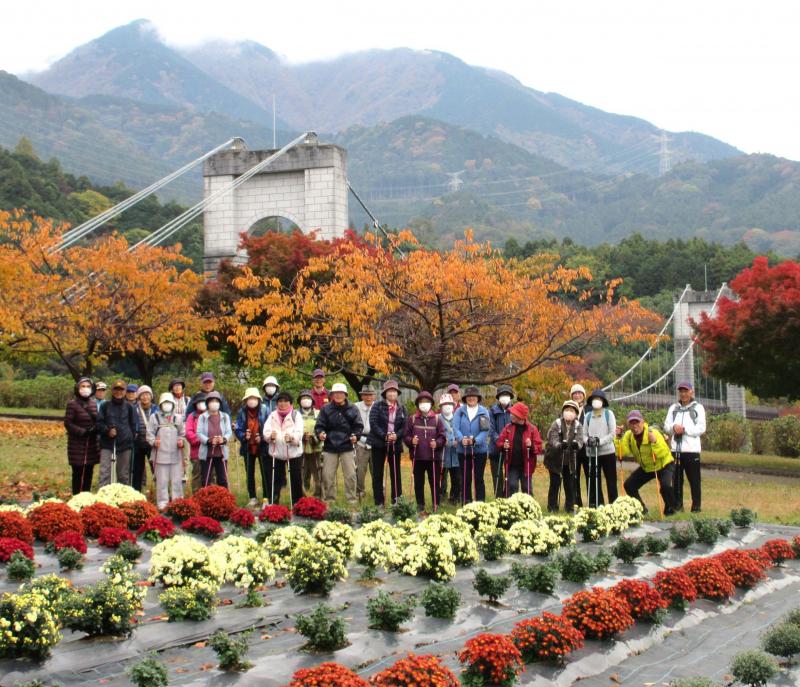 ざる菊と遠方につり橋