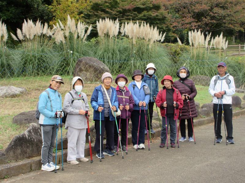 パンパスグラス（西洋薄）