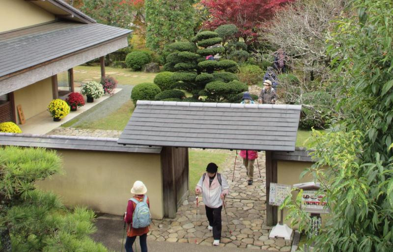 茶室でお茶は飲む時間がない