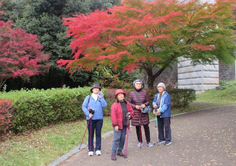 ところどころもみじの紅葉
