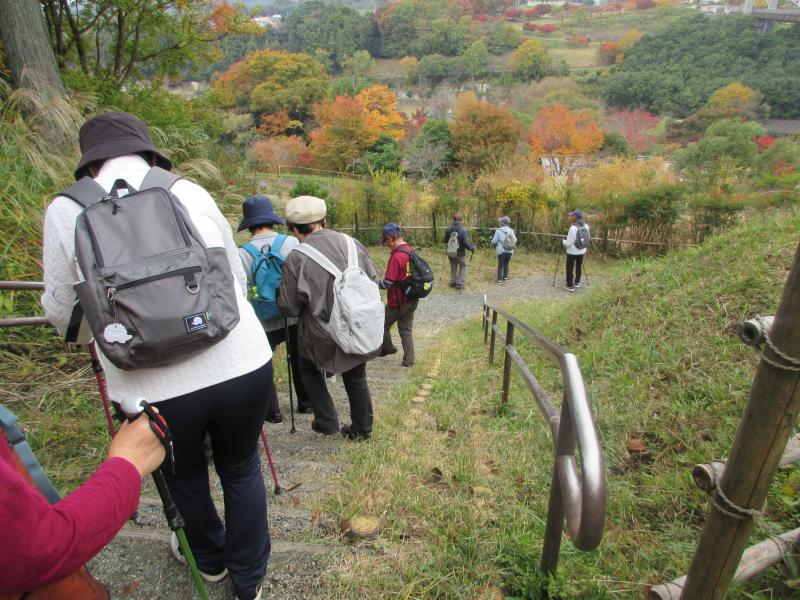 近道ですが急な階段