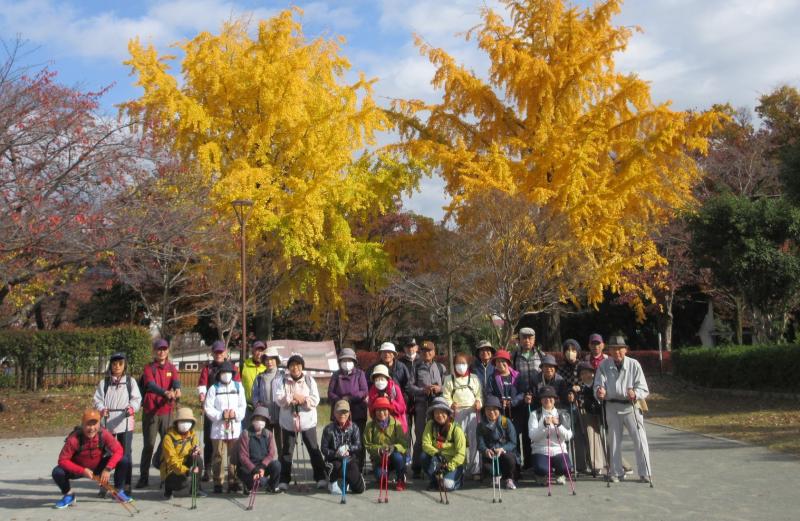 イチョウが黄金色