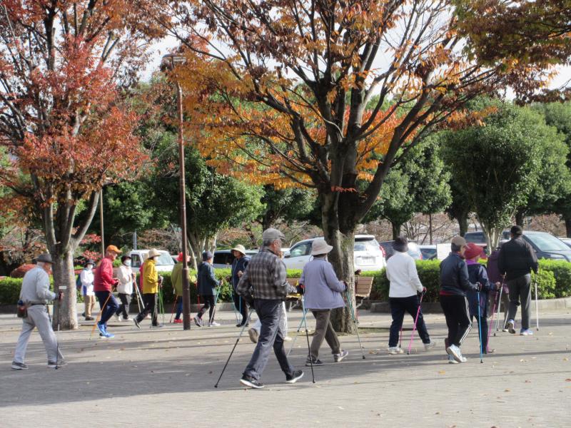 基本歩行の復習