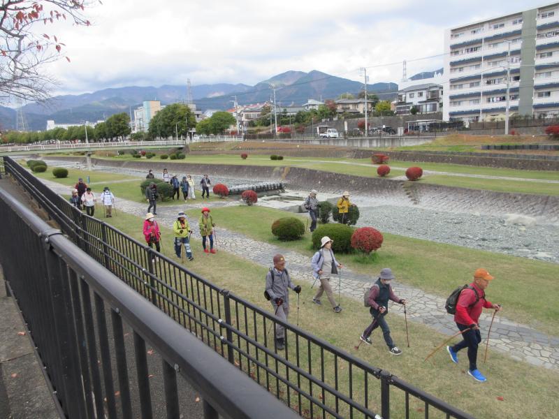 ウサギさんグループ