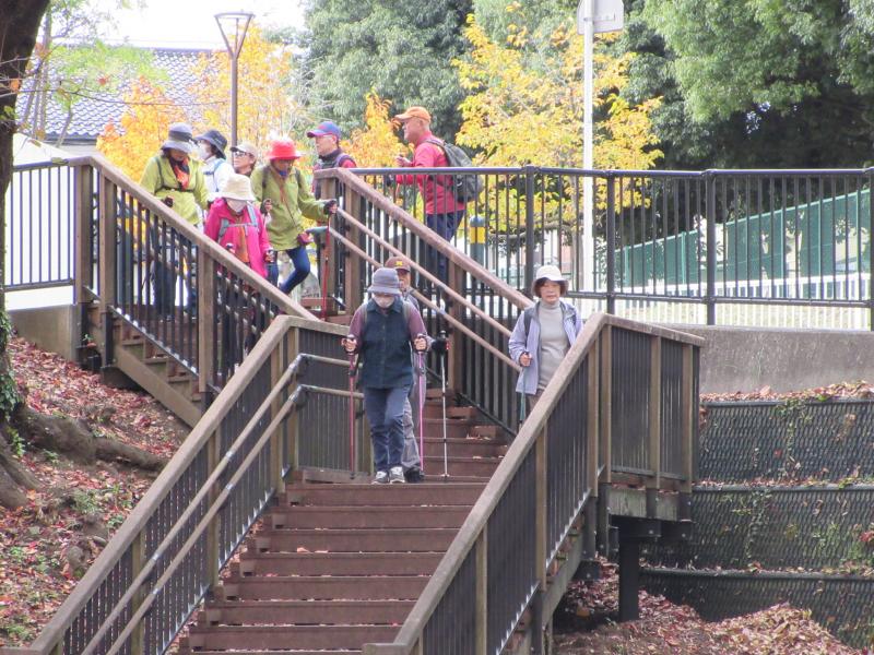 ウサギさんは階段で広場に