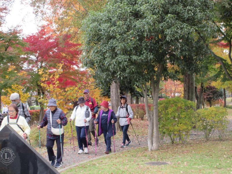 いたるところ紅葉です