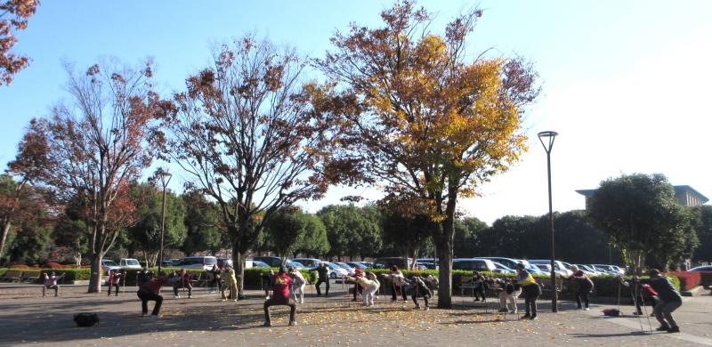 いつものように準備体操です