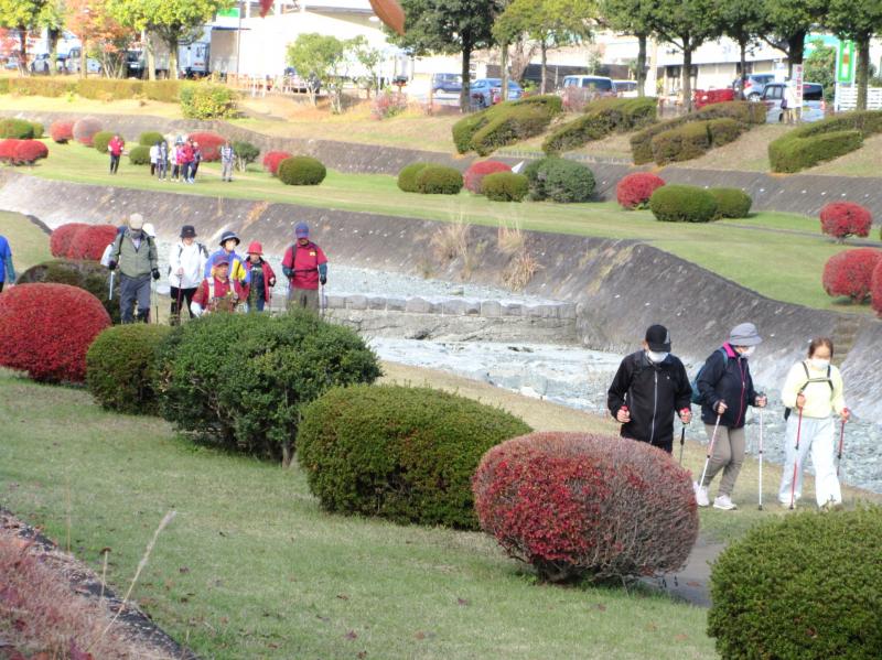 カメさんグループです