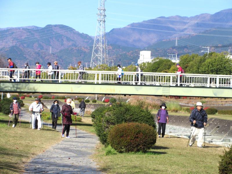 橋を渡るうさぎさんと下にはカメさんたち