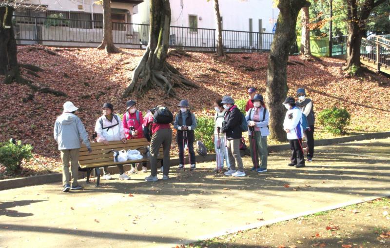 今日のおやつはなにかしら？