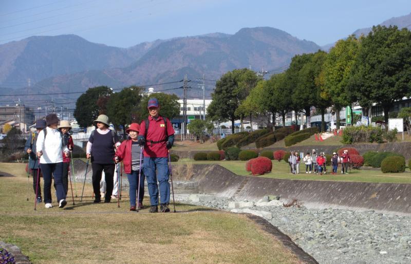 かめさんグループです