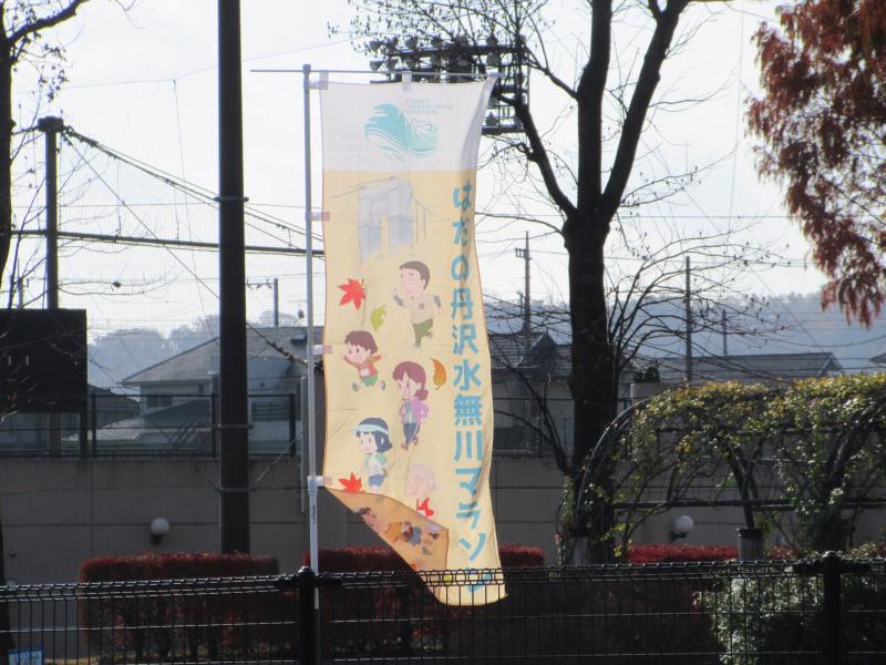 ７日は秦野みなせマラソンです