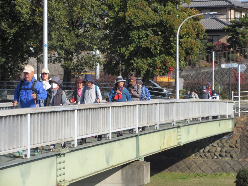 ウサギさんは人道橋です