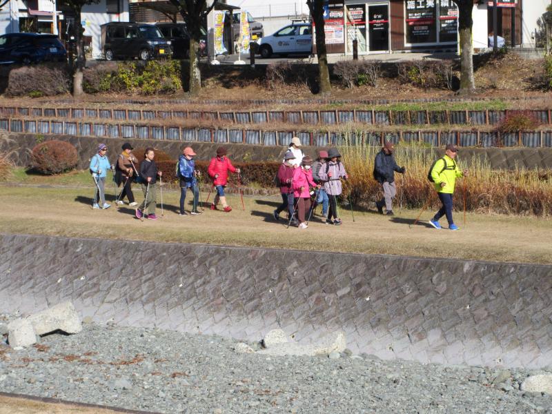 ウサギさんは左岸です