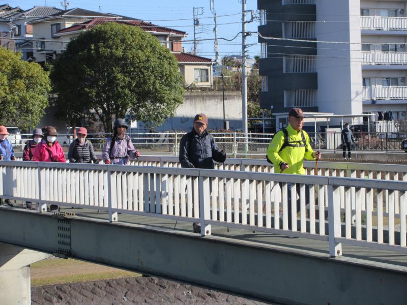 人道橋にウサギさん