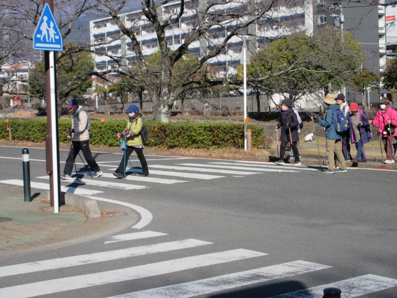 カメさんは横断歩道を