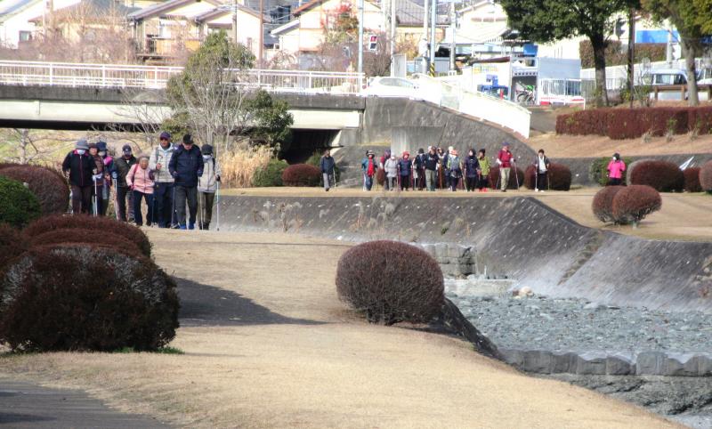 手前はカメさん向こうはうさぎさん