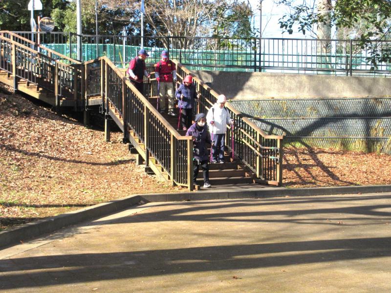 ウサギさんは階段から