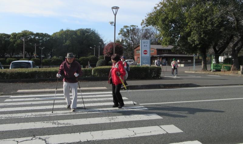 横断歩道の白線は４５㎝