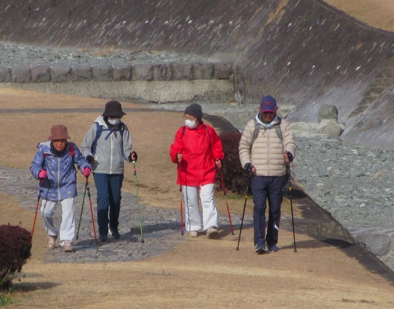 カメさんは少ないですね