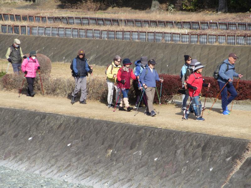 ウサギさんは対岸です