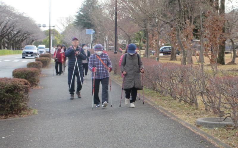 こがめさんは足元に注意して