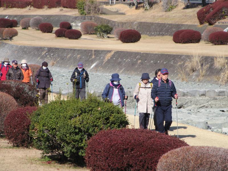 水無川の緑道/カメさん