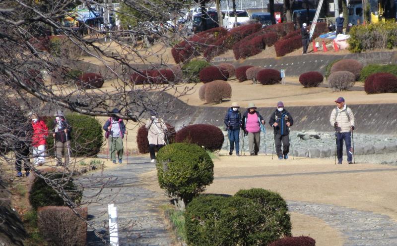 亀さんグループ