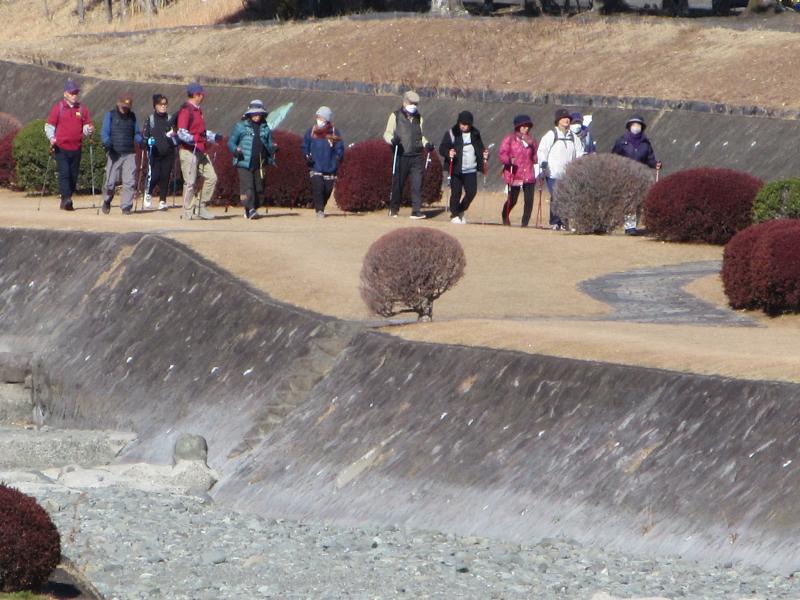 ウサギさんグループ